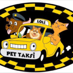 pet taksi ankara