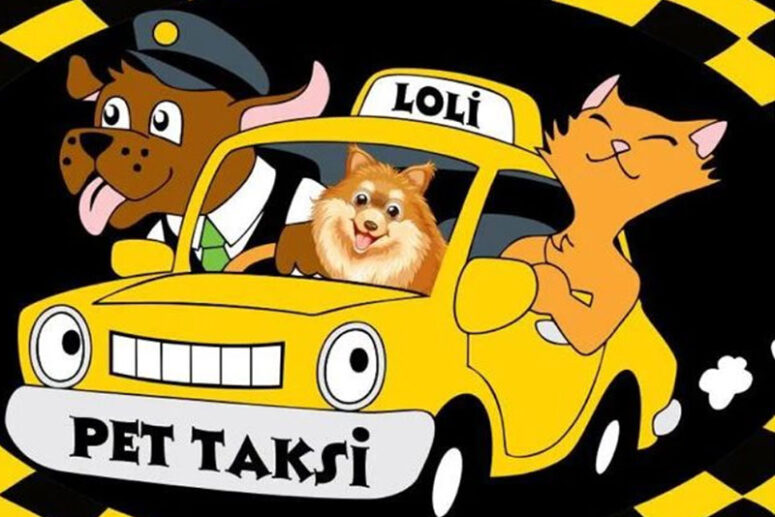 pet taksi ankara