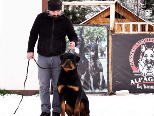 FB IMG 1731342858914 1024x983