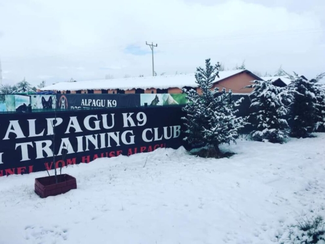 FB IMG 1731342878220 1024x742