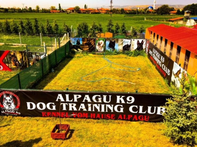 FB IMG 1731343283428 1024x760