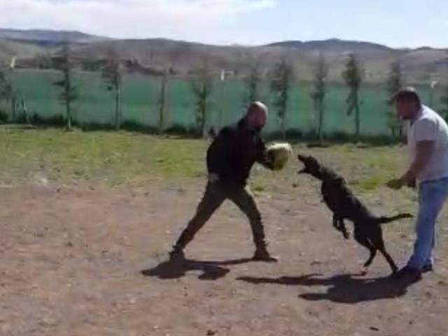 FB IMG 1731344227038 2