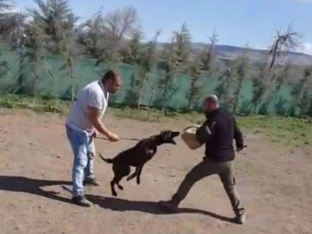 FB IMG 1731344230313 2