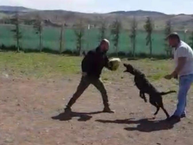 FB IMG 1731344234666 2