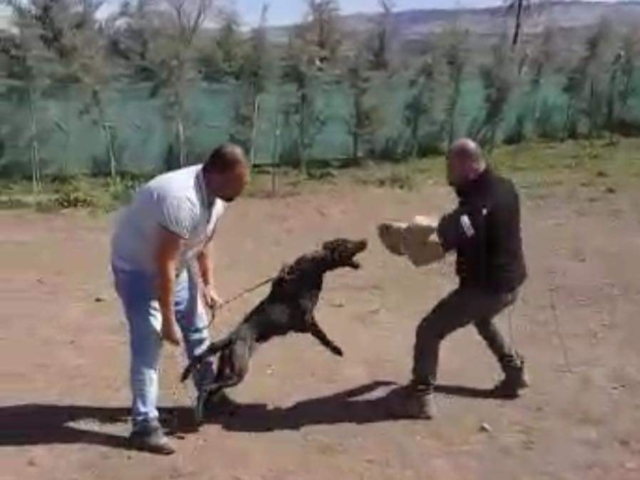 FB IMG 1731344242627 2