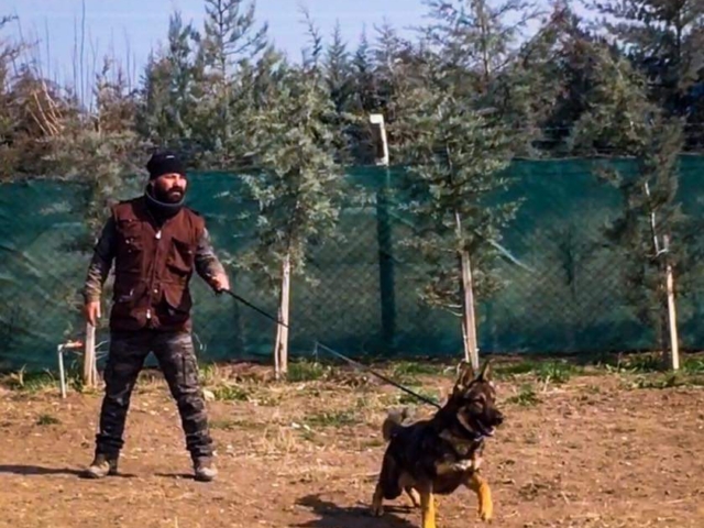 FB IMG 1731344401803 2