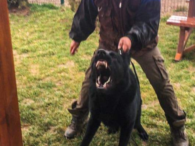 FB IMG 1731344436326 2