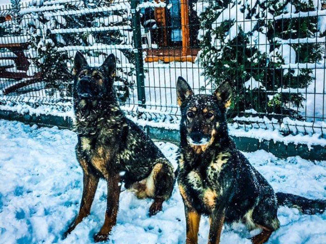 FB IMG 1731344596314 2