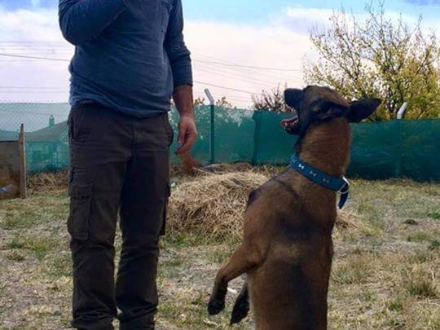 FB IMG 1731345236202 2