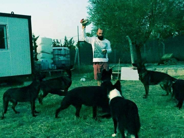 FB IMG 1731345248235 2