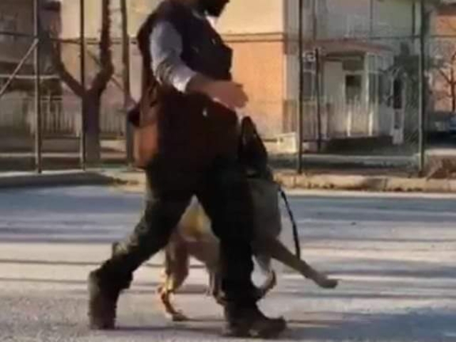 FB IMG 1731345327292 2