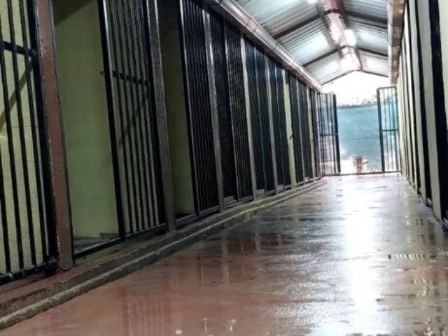 IMG 20241220 WA0003 461x1024