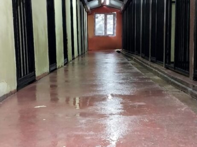 IMG 20241220 WA0004 461x1024