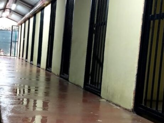 IMG 20241220 WA0005 461x1024