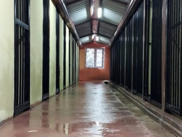 IMG 20241220 WA0006 461x1024