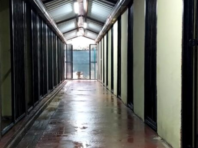 IMG 20241220 WA0008 461x1024