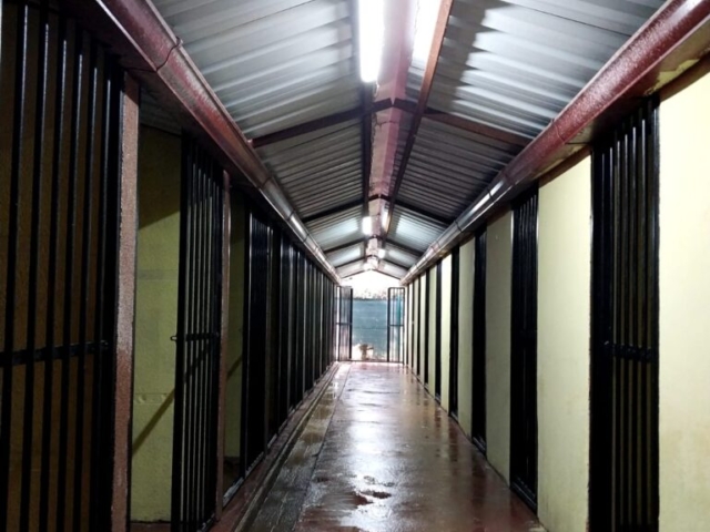 IMG 20241220 WA0010 768x1024