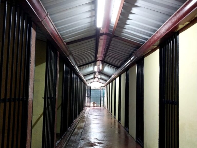 IMG 20241220 WA0011 768x1024